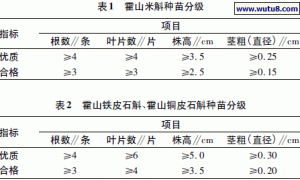 霍山石斛标准化栽培技术研究