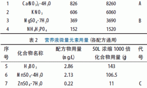 梅州设施大棚甜瓜无土栽培技术