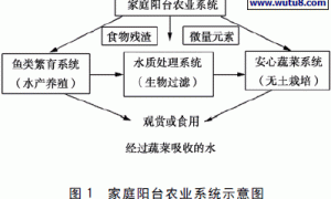 一种适用于家庭使用的阳台农业生态系统