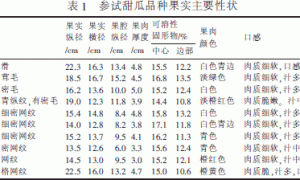 南京地区大棚春提早厚皮甜瓜有机生态型无土栽培品种比较试验