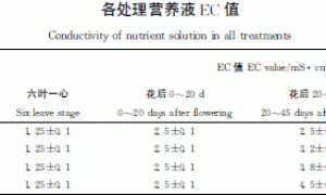 营养液EC值对无土栽培番茄果实发育及蔗糖代谢的影响