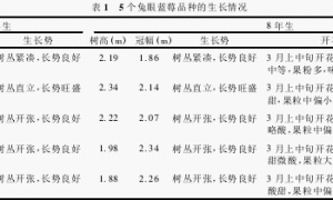 5个兔眼蓝莓品种在黔中地区的表现及栽培评价