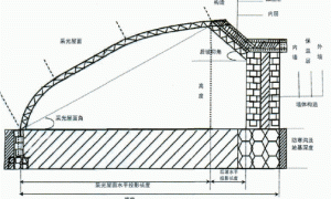 秋红珠油桃日光温室促早栽培周年管理历