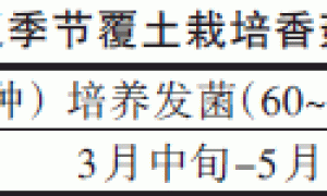 果园反季节覆土栽培香菇技术