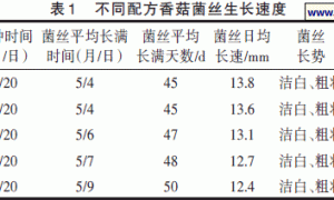 杜仲叶、枝栽培功能型杜仲香菇配方试验