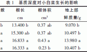 基质深度对小白菜生长和品质的影响