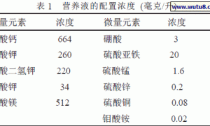 辣椒无土栽培技术