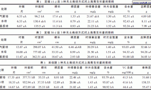 不同无土栽培方式对上海青生长量的影响