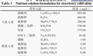 观光农业园草莓主要栽培模式及营养液配制