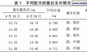 黑木耳代料栽培基质配方比较试验