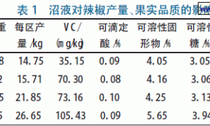 沼液在辣椒栽培上的应用试验