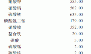 设施草莓吊槽式立体栽培技术