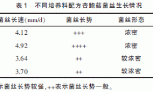 不同原料配方栽培杏鲍菇研究