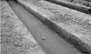 宝鸡大棚蔬菜菇渣混合基质一年三茬栽培技术