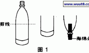 用可乐瓶制作无土栽培装置