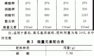 美国蔬菜无土栽培技术
