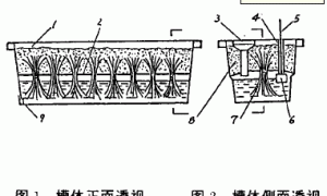 阳台无土栽培器及应用初报
