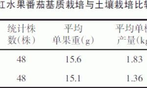 智能化连栋大棚蔬菜基质栽培与土壤栽培对比试验