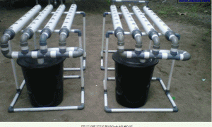 家庭DIY的简易水培菜园系统