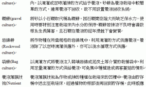 常見無土栽培方式有那些？